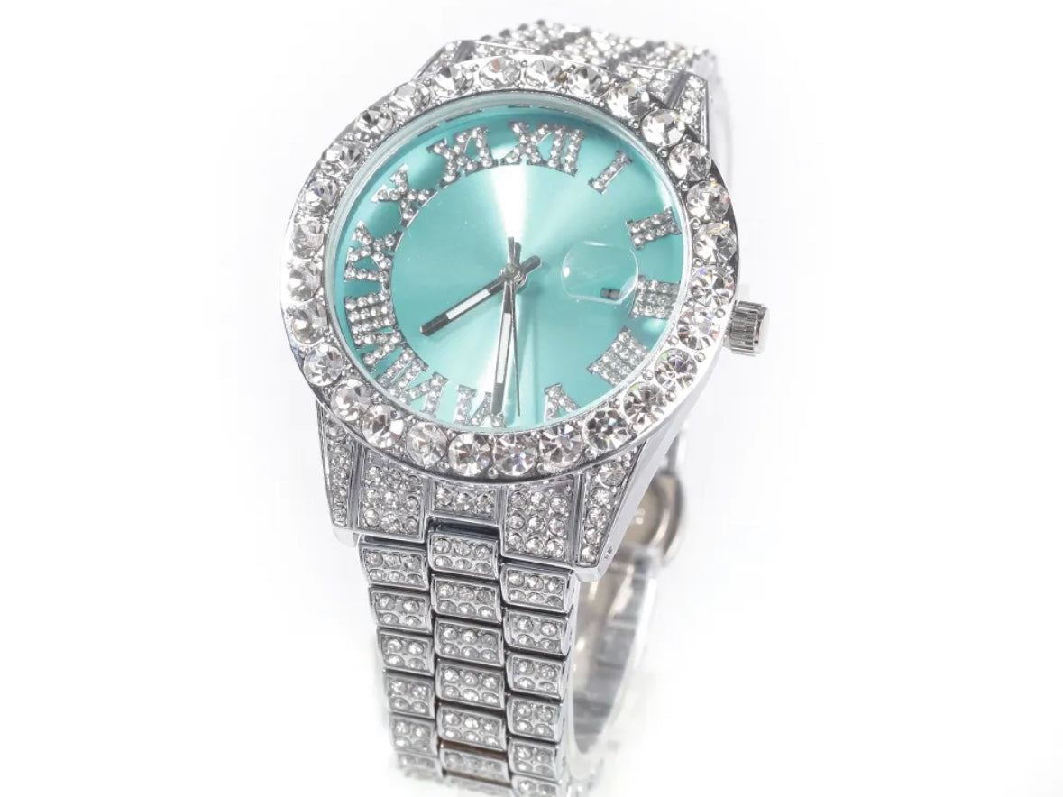 Ocean Ice Watch